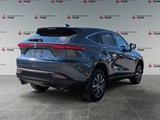 WIND CHILL PEAR 2024 Toyota Venza LE
