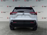 WIND CHILL PEAR 2023 Toyota RAV4 Prime XSE