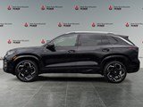 DEEP BLACK PEAR 2025 Volkswagen Tiguan Highline R-Line