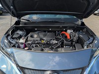 WIND CHILL PEAR 2024 Toyota Venza LE AWD