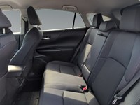 WIND CHILL PEAR 2024 Toyota Venza LE AWD