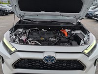 WIND CHILL PEAR 2023 Toyota RAV4 Prime XSE AWD