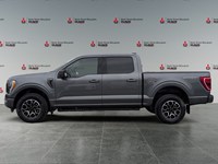 2023 Ford F-150 XLT 4WD SuperCrew 5.5' Box