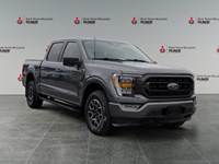 2023 Ford F-150 XLT 4WD SuperCrew 5.5' Box