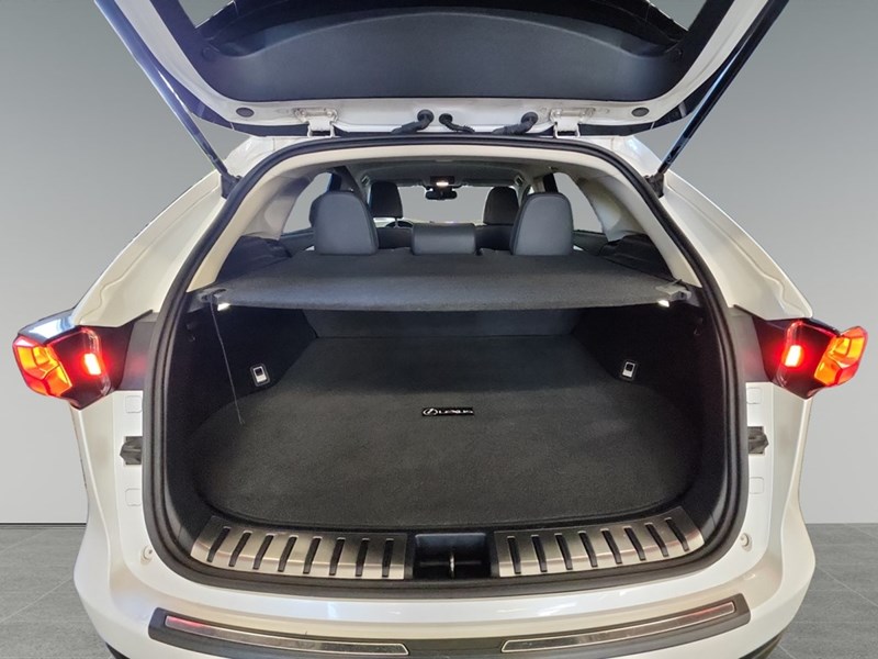 2021 Lexus NX 300 NX 300 AWD