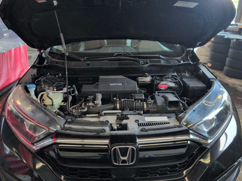 CRYSTAL BLACK P 2020 Honda CR-V EX-L AWD