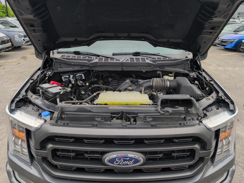 2023 Ford F-150 XLT 4WD SuperCrew 5.5' Box