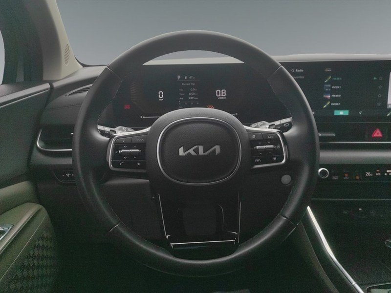 THUNDER GREY 2025 Kia Carnival EX FWD