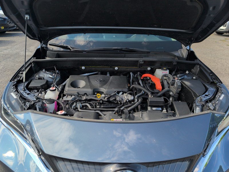WIND CHILL PEAR 2024 Toyota Venza LE AWD