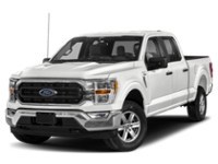 2023 Ford F-150 XLT 4WD SuperCrew 5.5' Box exterior