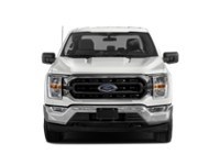 2023 Ford F-150 XLT 4WD SuperCrew 5.5' Box exterior