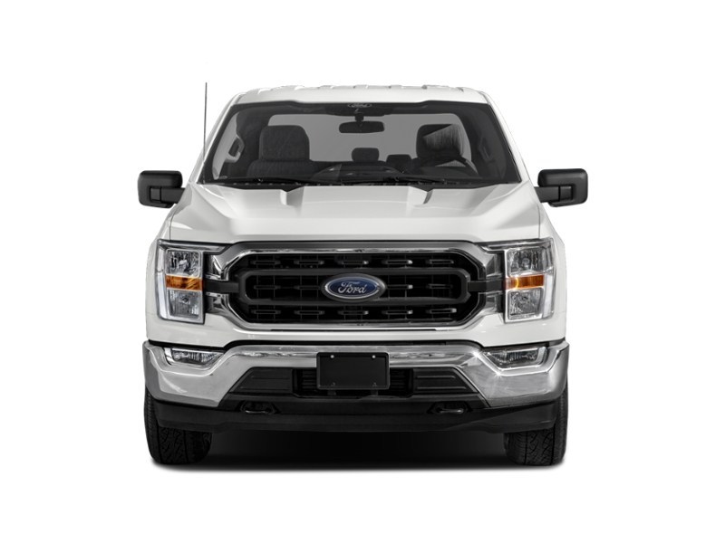 2023 Ford F-150 XLT 4WD SuperCrew 5.5' Box exterior