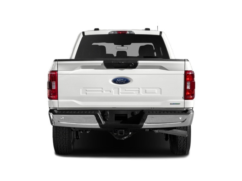 2023 Ford F-150 XLT 4WD SuperCrew 5.5' Box exterior