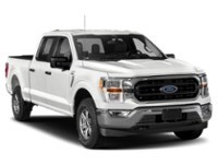 2023 Ford F-150 XLT 4WD SuperCrew 5.5' Box exterior