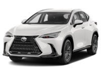 2022 Lexus NX 250 NX 250 AWD exterior
