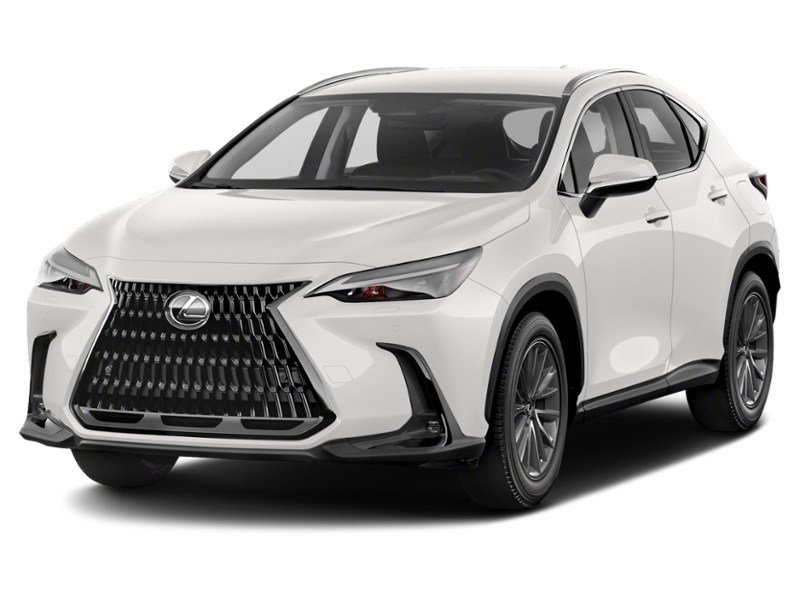 2022 Lexus NX 250 NX 250 AWD exterior