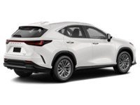 2022 Lexus NX 250 NX 250 AWD exterior