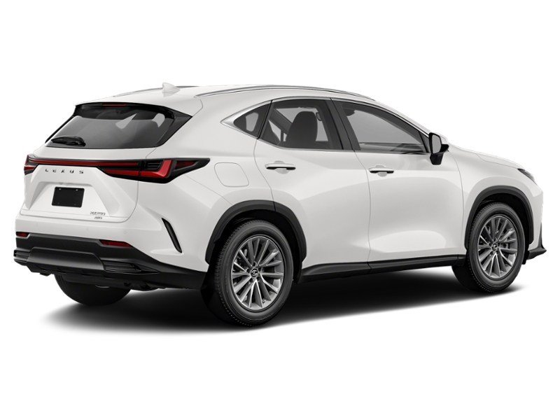 2022 Lexus NX 250 NX 250 AWD exterior