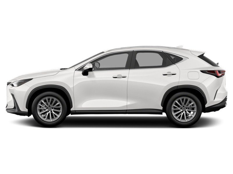 2022 Lexus NX 250 NX 250 AWD exterior