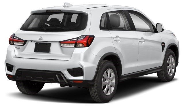 Labrador Black [Black]