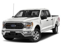 2023 Ford F-150 XLT 4WD SuperCrew 5.5' Box exterior