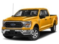 2023 Ford F-150 XLT 4WD SuperCrew 5.5' Box exterior