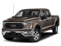 Stone Grey Metallic 2023 Ford F-150 XLT 4WD SuperCrew 5.5' Box exterior