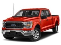 2023 Ford F-150 XLT 4WD SuperCrew 5.5' Box exterior
