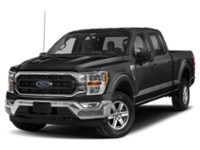 Agate Black Metallic 2023 Ford F-150 XLT 4WD SuperCrew 5.5' Box exterior