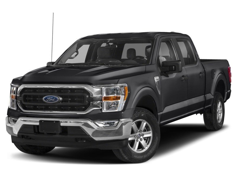 2023 Ford F-150 XLT 4WD SuperCrew 5.5' Box exterior