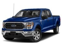 2023 Ford F-150 XLT 4WD SuperCrew 5.5' Box exterior