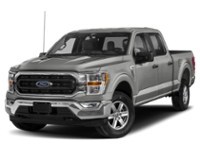 Avalanche 2023 Ford F-150 XLT 4WD SuperCrew 5.5' Box exterior