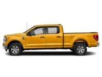 2023 Ford F-150 XLT 4WD SuperCrew 5.5' Box exterior
