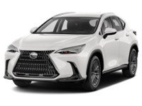2022 Lexus NX 250 NX 250 AWD exterior