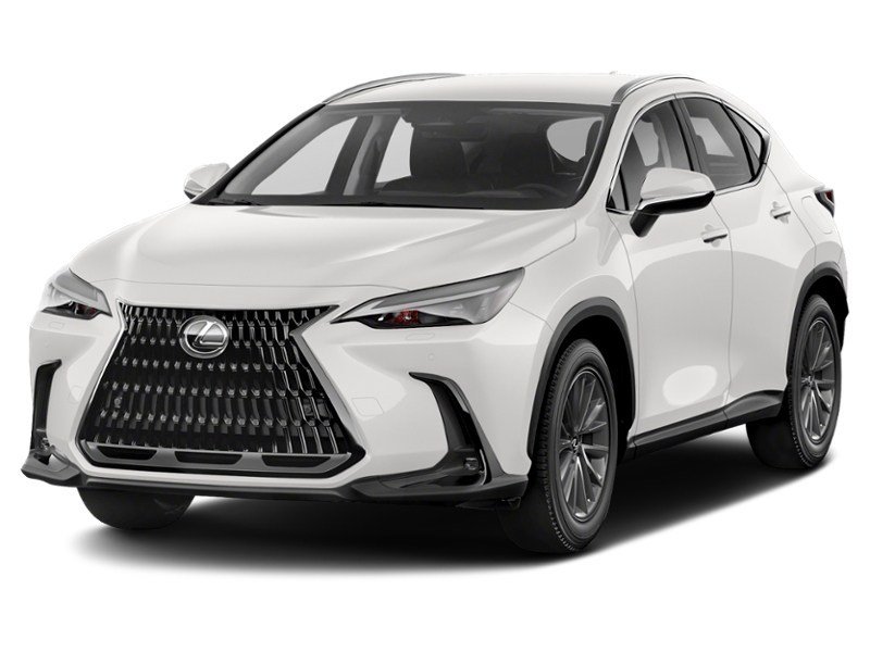 2022 Lexus NX 250 NX 250 AWD exterior