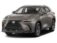 2022 Lexus NX 250 NX 250 AWD exterior