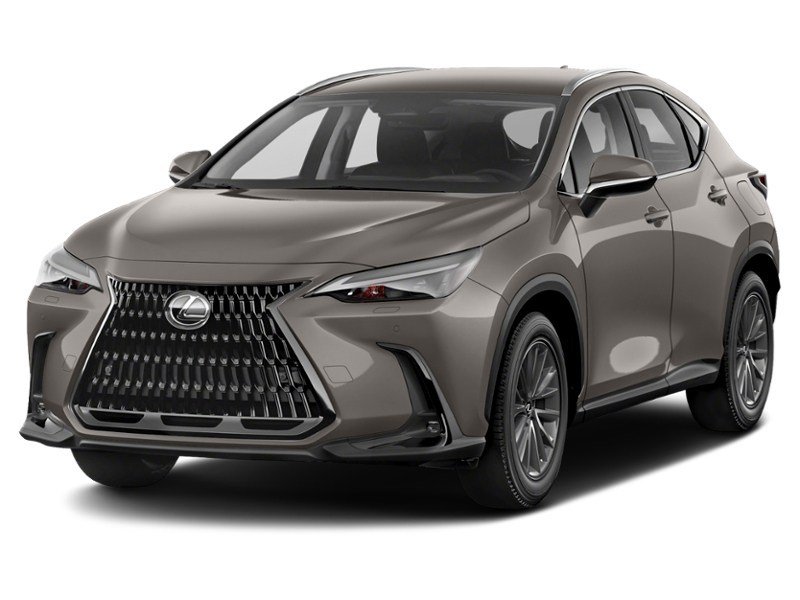 2022 Lexus NX 250 NX 250 AWD exterior