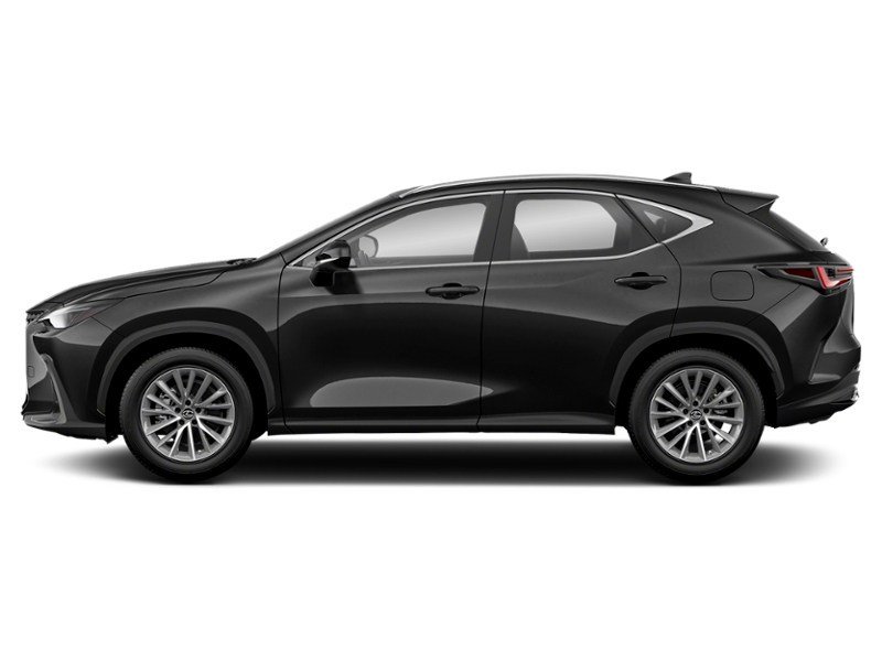 2022 Lexus NX 250 NX 250 AWD exterior