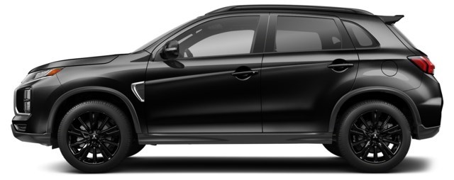 Labrador Black [Black]