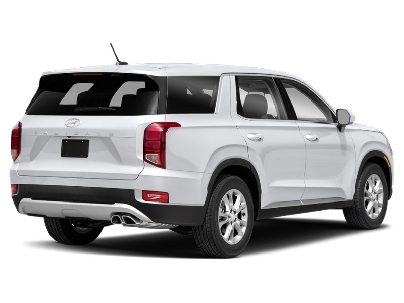 2020 Hyundai Palisade Essential 8-Passenger FWD exterior