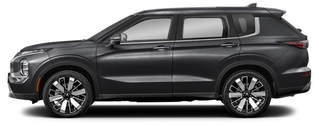 Labrador Black [Black]